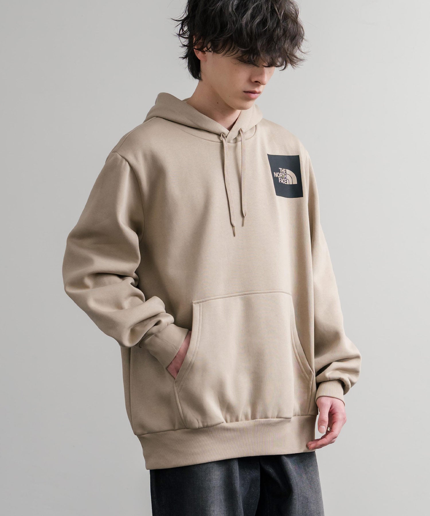 THE NORTH FACE ザ・ノースフェイス FINE HOODIE/裏起毛ロゴワンポイントプルオーバーパーカー 15485