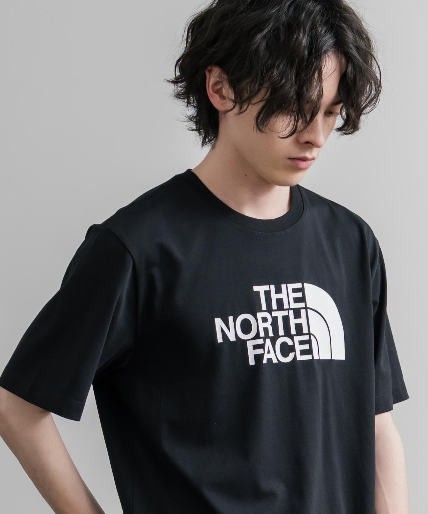 THE NORTH FACE ザ・ノースフェイス M EVO HLF DME REG SS TEE ロゴプリントレギュラーフィット半袖Tシャツ 15818