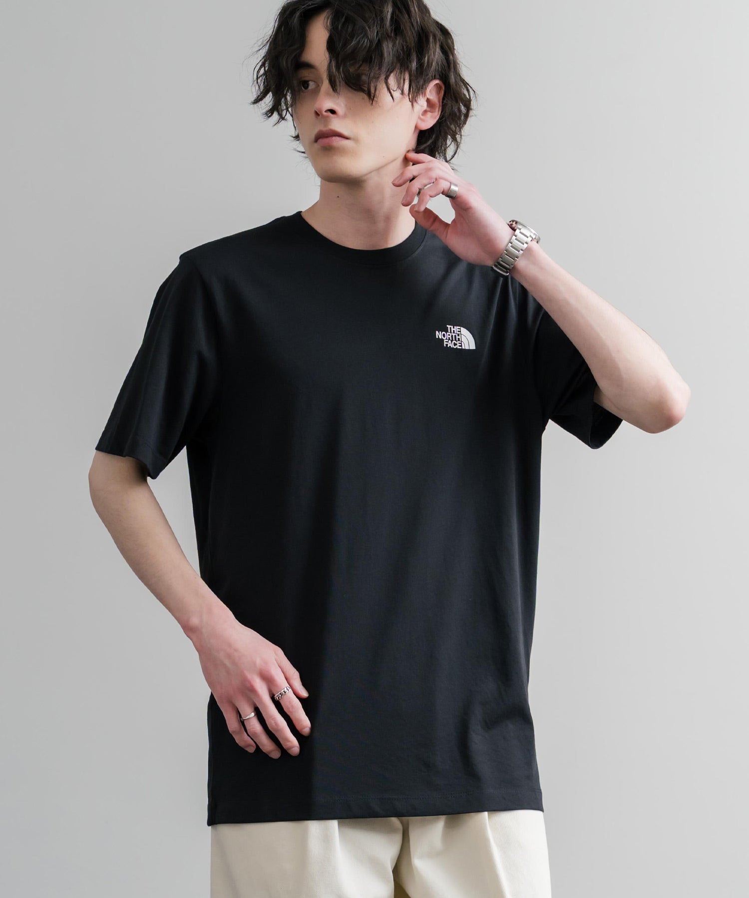 THE NORTH FACE ザ・ノースフェイス M MONTE RG SS TEE バックプリント半袖Tシャツ 15820