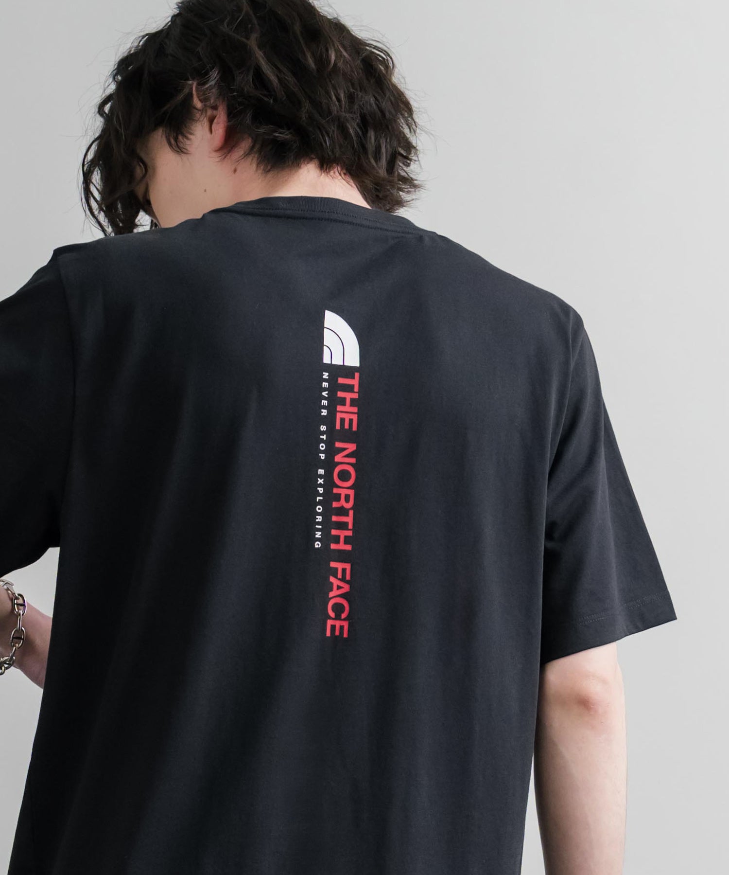 THE NORTH FACE ザ・ノースフェイス M VERTICAL REGULAR SHORT バックプリント半袖Tシャツ 15822