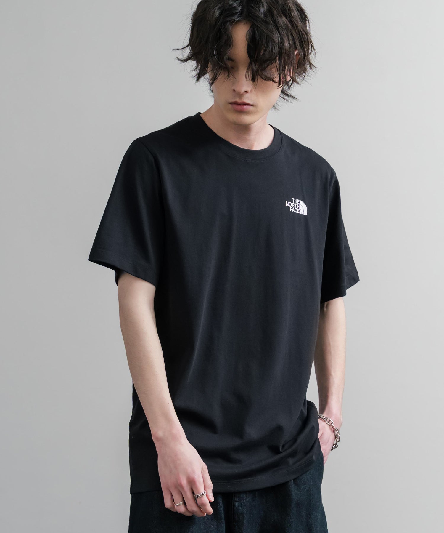 THE NORTH FACE ザ・ノースフェイス M VERTICAL REGULAR SHORT バックプリント半袖Tシャツ 15822