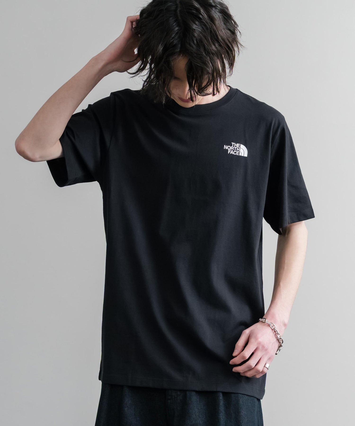 THE NORTH FACE ザ・ノースフェイス M VERTICAL REGULAR SHORT バックプリント半袖Tシャツ 15822