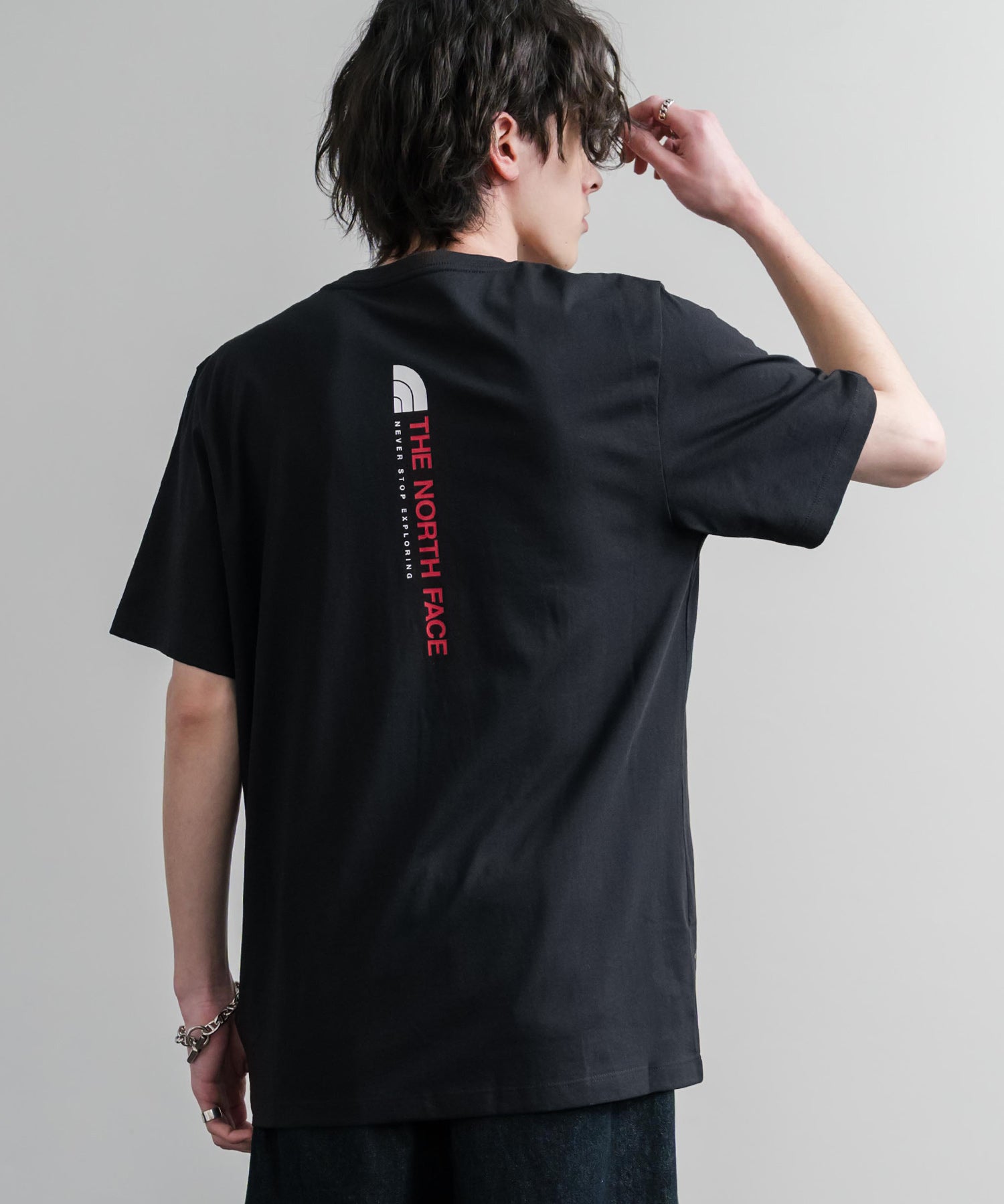 THE NORTH FACE ザ・ノースフェイス M VERTICAL REGULAR SHORT バックプリント半袖Tシャツ 15822