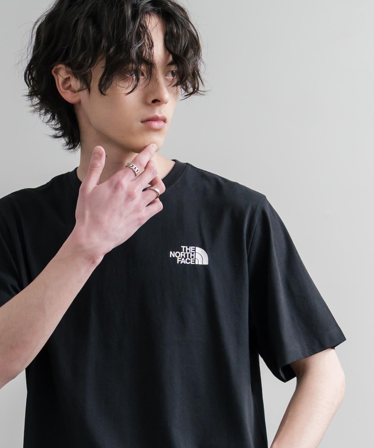 THE NORTH FACE ザ・ノースフェイス M VERTICAL REGULAR SHORT バックプリント半袖Tシャツ 15822