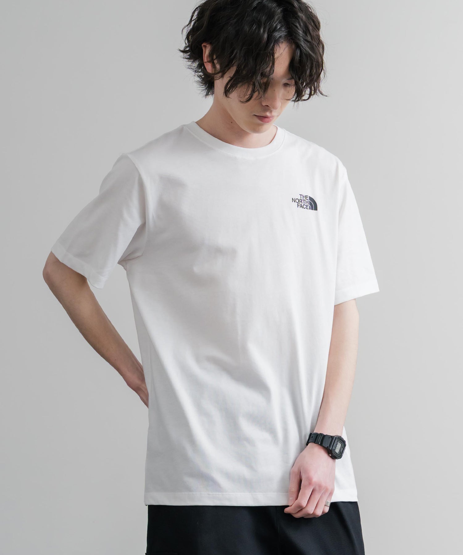 THE NORTH FACE ザ・ノースフェイス M VERTICAL REGULAR SHORT バックプリント半袖Tシャツ 15822