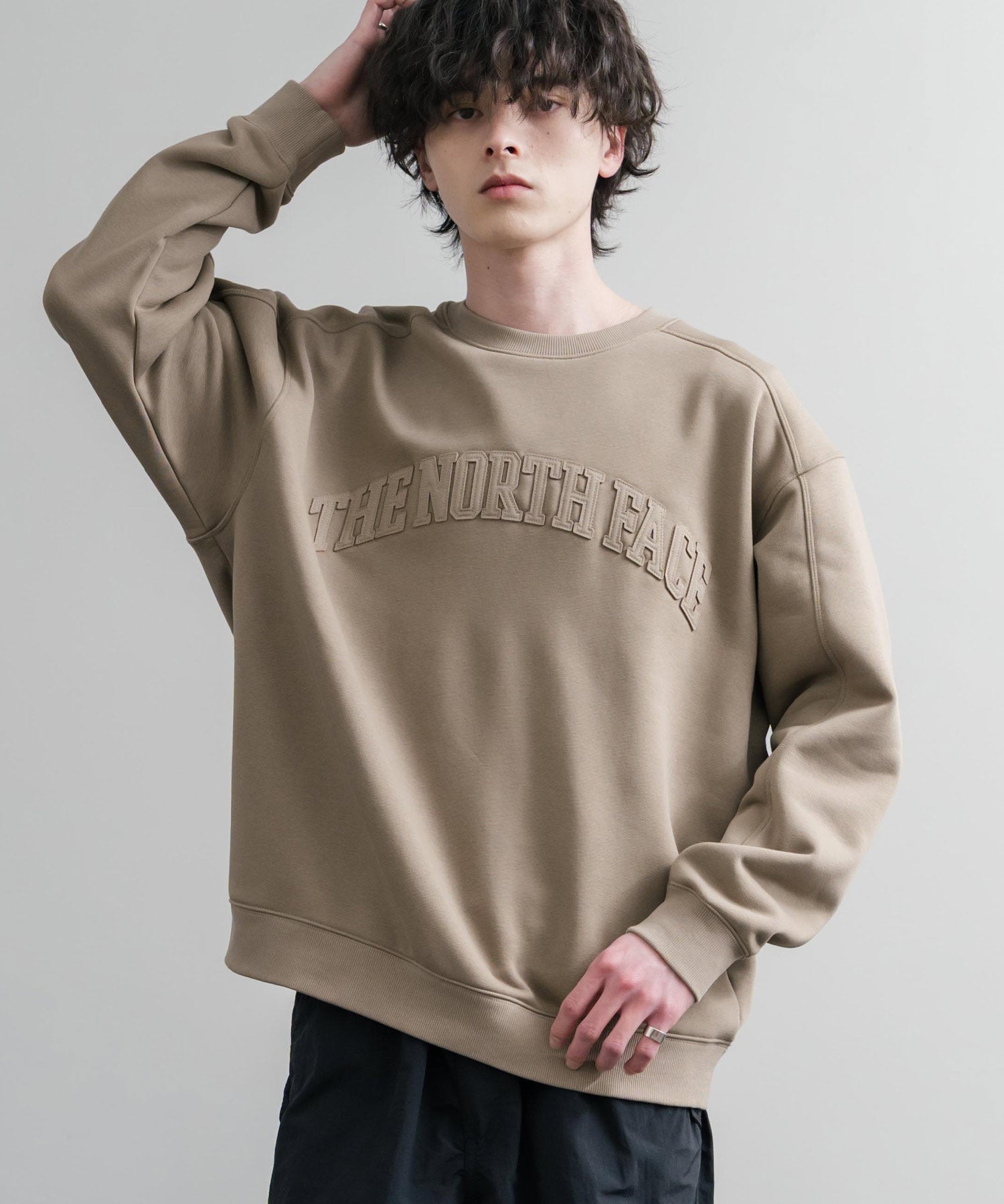 THE NORTH FACE ザ・ノースフェイス M'S KINETIC SWEATSHIRTS 裏起毛キネティックスウェットトレーナー 15891