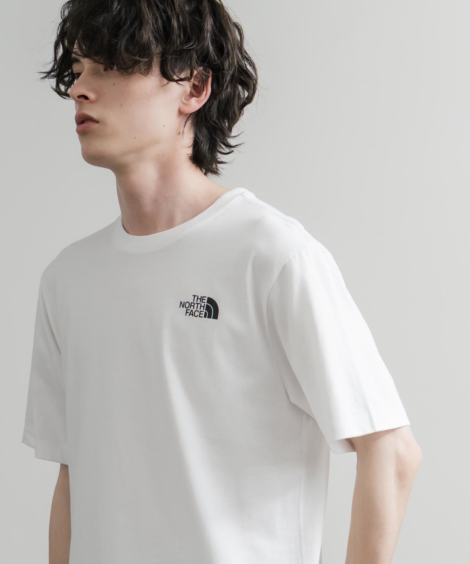 THE NORTH FACE ザ・ノースフェイス BOX NSE ENG R6 SS TEE レギュラーフィット半袖バックプリントTシャツ 15922