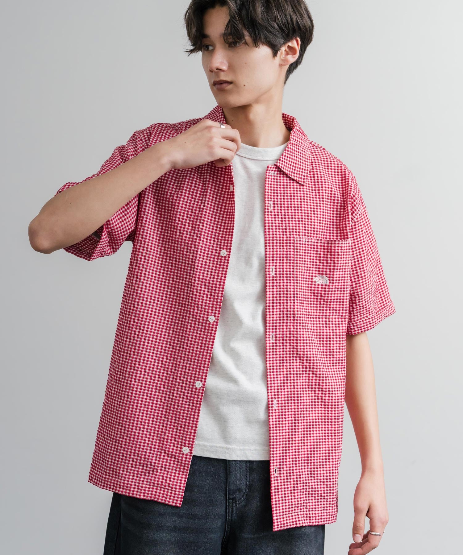 THE NORTH FACE ザ・ノースフェイス M'S TRAVELER CHECK S/S SHIRTS ワンポイントロゴ刺繍ギンガムチェック柄半袖シャツ 16021