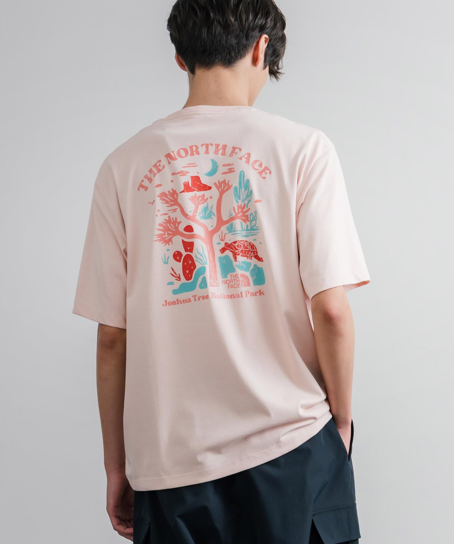 THE NORTH FACE ザ・ノースフェイス M'S EVERGREEN S/S R/TEE 1 バックプリント半袖クルーネックTシャツ 16023