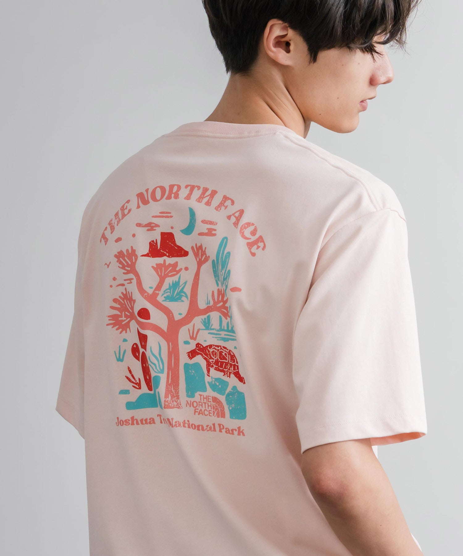 THE NORTH FACE ザ・ノースフェイス M'S EVERGREEN S/S R/TEE 1 バックプリント半袖クルーネックTシャツ 16023