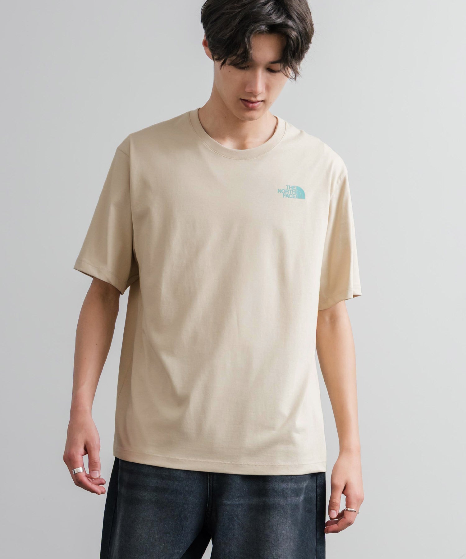 THE NORTH FACE ザ・ノースフェイス M'S EVERGREEN S/S R/TEE 1 バックプリント半袖クルーネックTシャツ 16023