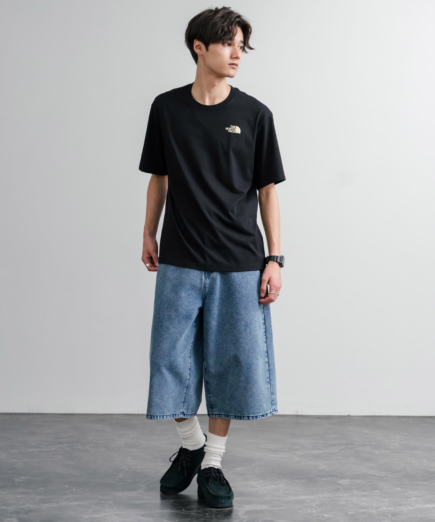 THE NORTH FACE ザ・ノースフェイス M'S EVERGREEN S/S R/TEE 1 バックプリント半袖クルーネックTシャツ 16023