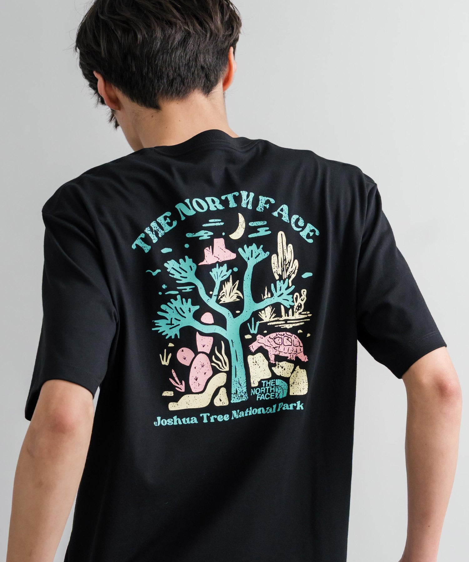 THE NORTH FACE ザ・ノースフェイス M'S EVERGREEN S/S R/TEE 1 バックプリント半袖クルーネックTシャツ 16023