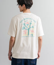 THE NORTH FACE ザ・ノースフェイス M'S EVERGREEN S/S R/TEE 1 バックプリント半袖クルーネックTシャツ 16023
