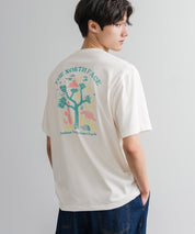 THE NORTH FACE ザ・ノースフェイス M'S EVERGREEN S/S R/TEE 1 バックプリント半袖クルーネックTシャツ 16023