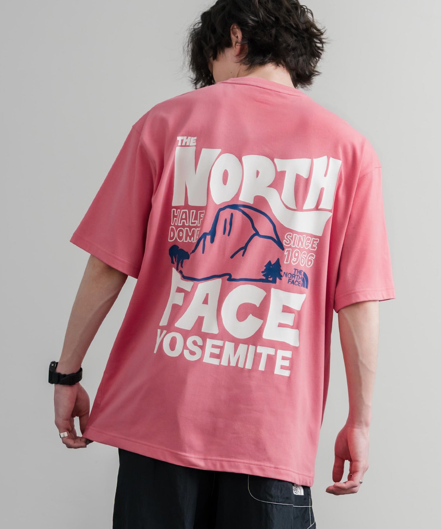 日本未展開モデル THE NORTH FACE WHITE LABEL HALF DOME S/S R/TEE 接触冷感バックプリント半袖Tシャツ 16064