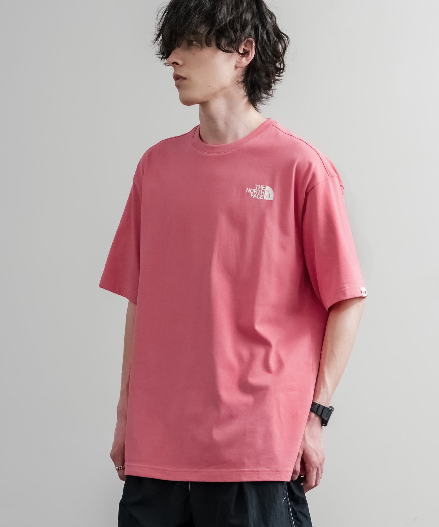 日本未展開モデル THE NORTH FACE WHITE LABEL HALF DOME S/S R/TEE 接触冷感バックプリント半袖Tシャツ 16064