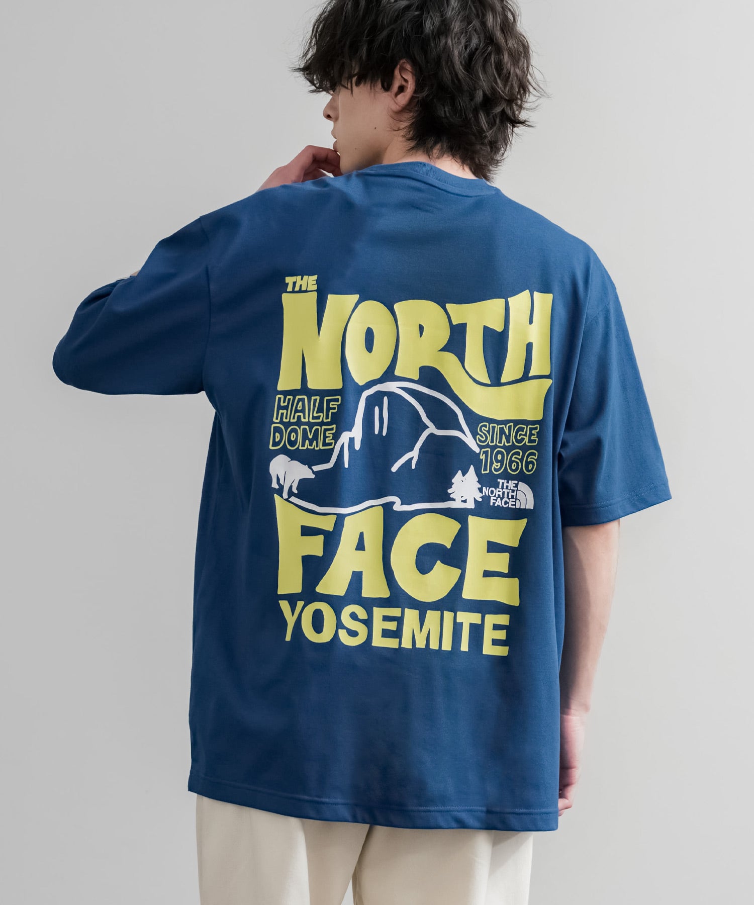 日本未展開モデル THE NORTH FACE WHITE LABEL HALF DOME S/S R/TEE