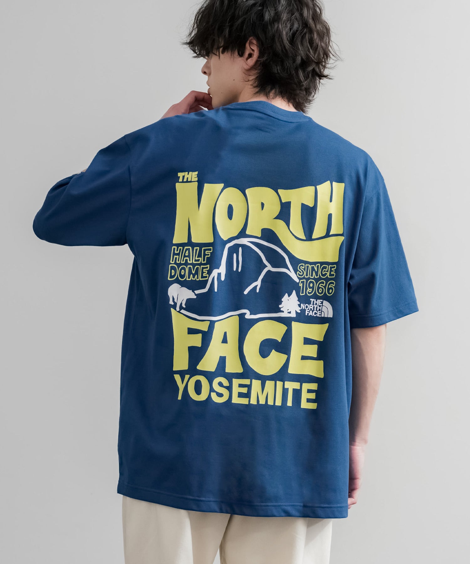 日本未展開モデル THE NORTH FACE WHITE LABEL HALF DOME S/S R/TEE 接触冷感バックプリント半袖Tシャツ 16064