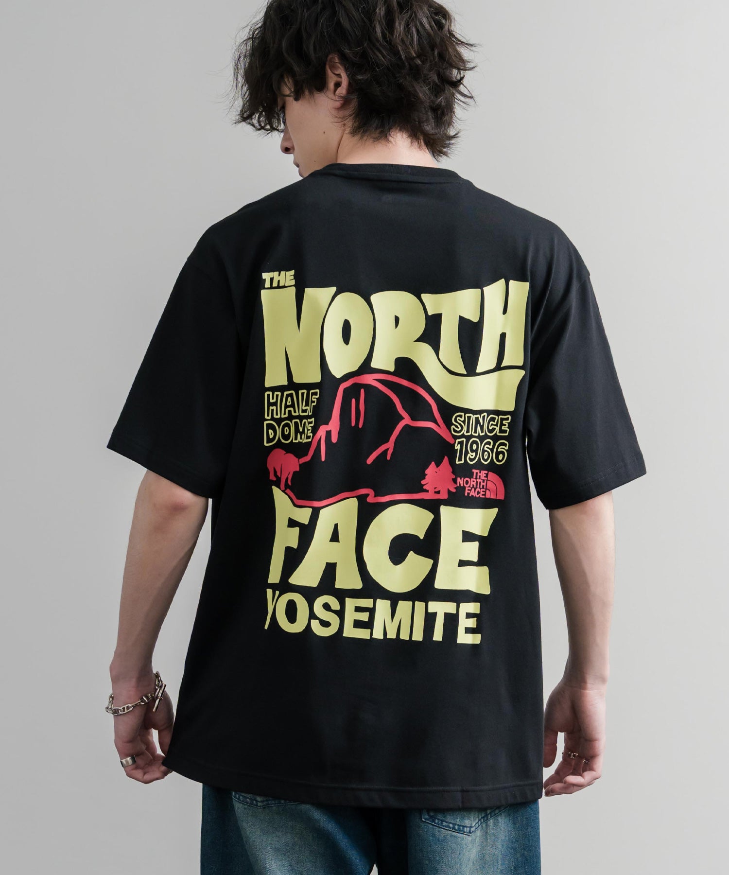 日本未展開モデル THE NORTH FACE WHITE LABEL HALF DOME S/S R/TEE