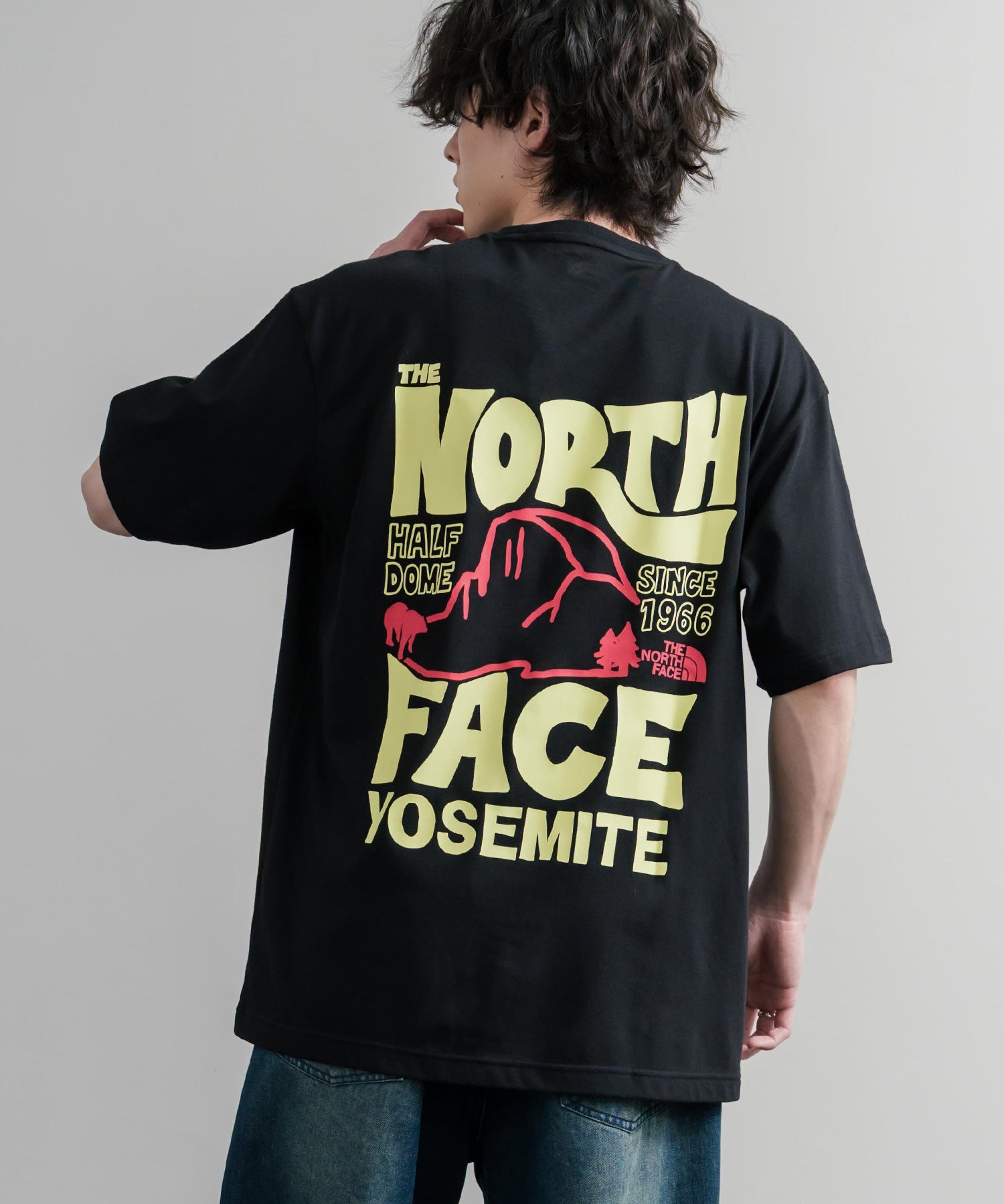 日本未展開モデル THE NORTH FACE WHITE LABEL HALF DOME S/S R/TEE 接触冷感バックプリント半袖Tシャツ 16064