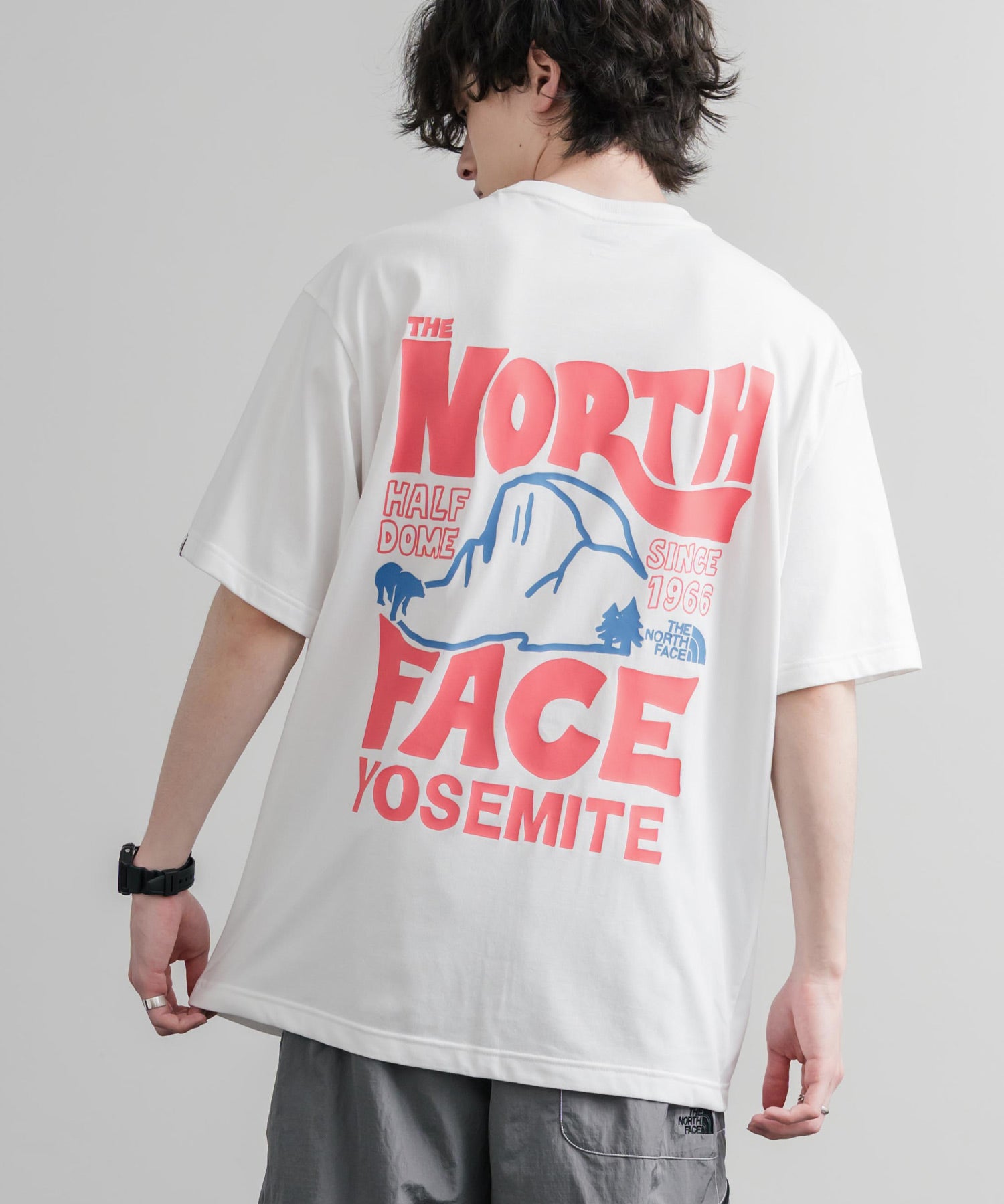 日本未展開モデル THE NORTH FACE WHITE LABEL HALF DOME S/S R/TEE 接触冷感バックプリント半袖Tシャツ 16064