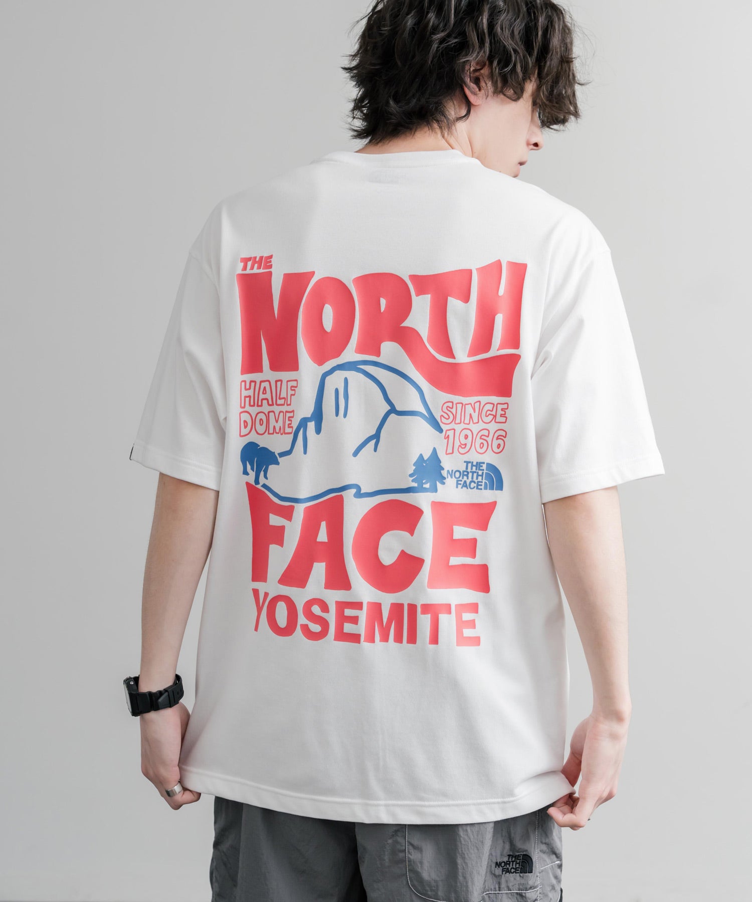 日本未展開モデル THE NORTH FACE WHITE LABEL HALF DOME S/S R/TEE 接触冷感バックプリント半袖Tシャツ 16064