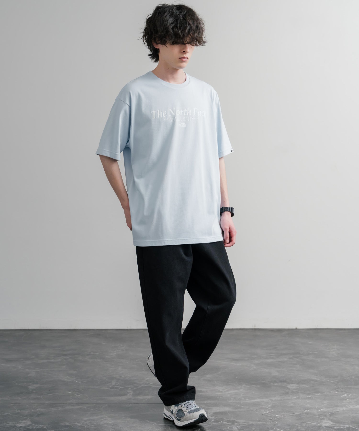日本未展開モデル THE NORTH FACE WHITE LABEL SIGNATURE S/S R/TEE 接触冷感グラフィックプリント半袖Tシャツ 16066