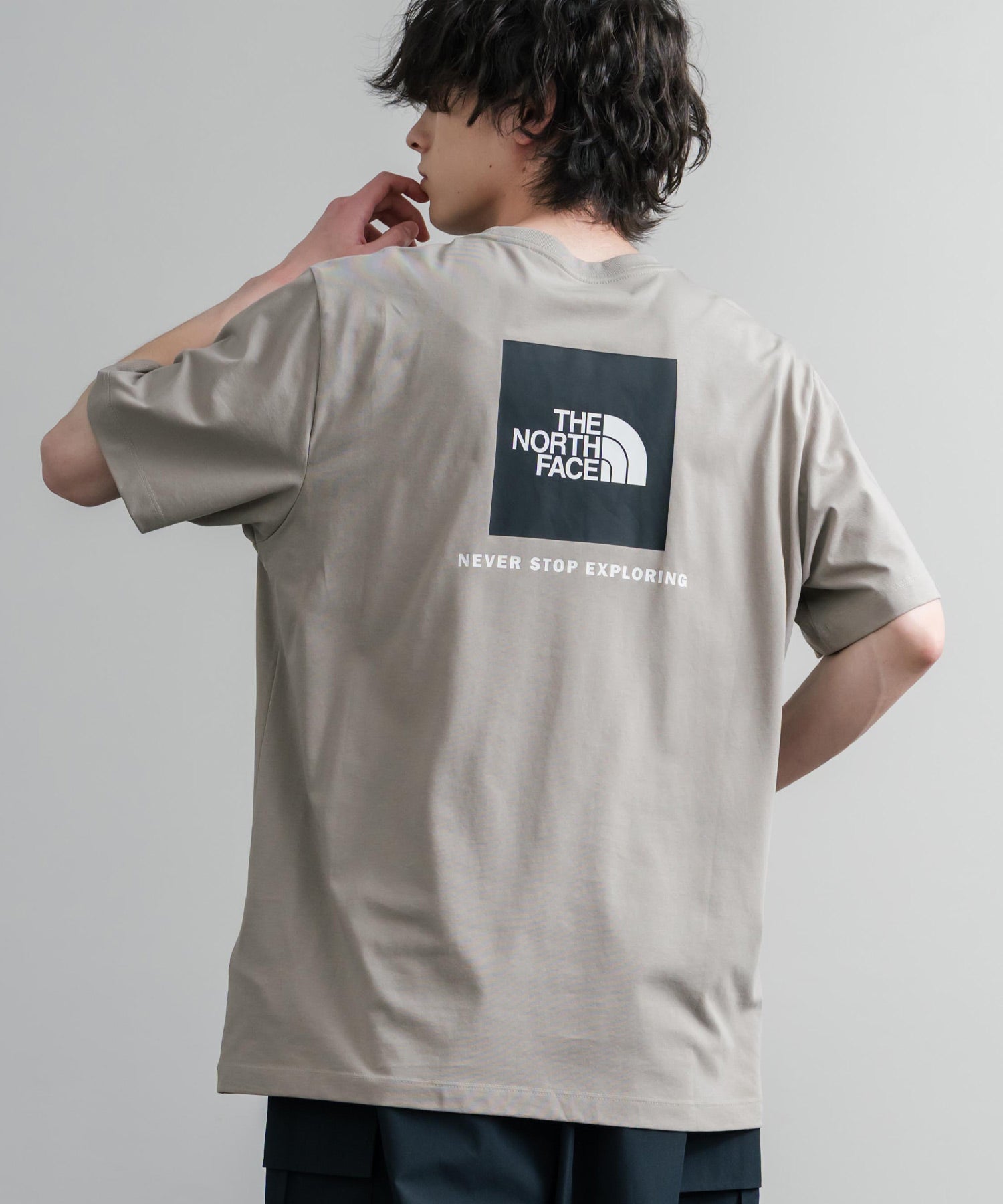 THE NORTH FACE ザ・ノースフェイス EVO BOX NSE REG SS TEE バックプリントクルーネック半袖Tシャツ 16068