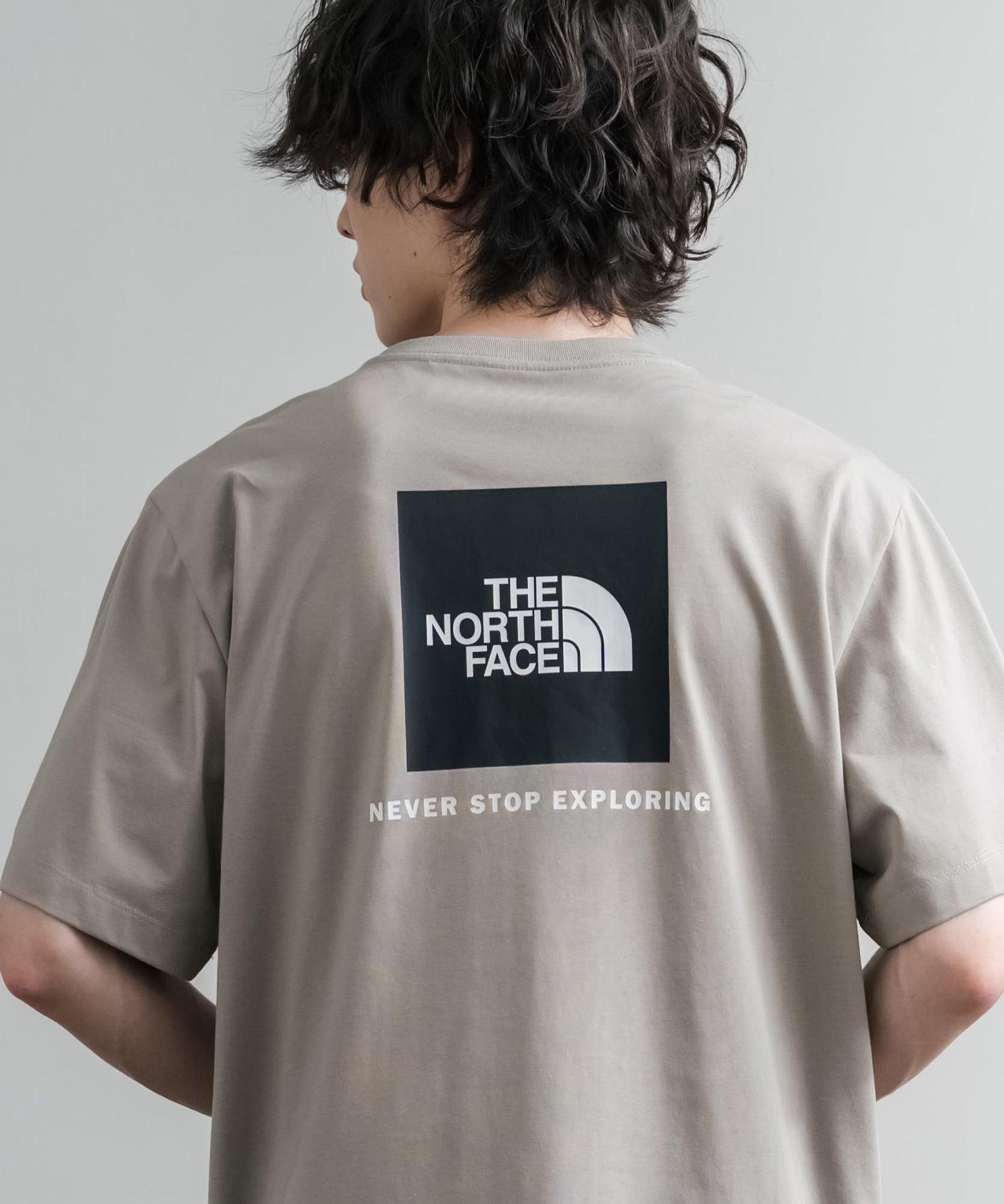 THE NORTH FACE ザ・ノースフェイス EVO BOX NSE REG SS TEE バックプリントクルーネック半袖Tシャツ 16068