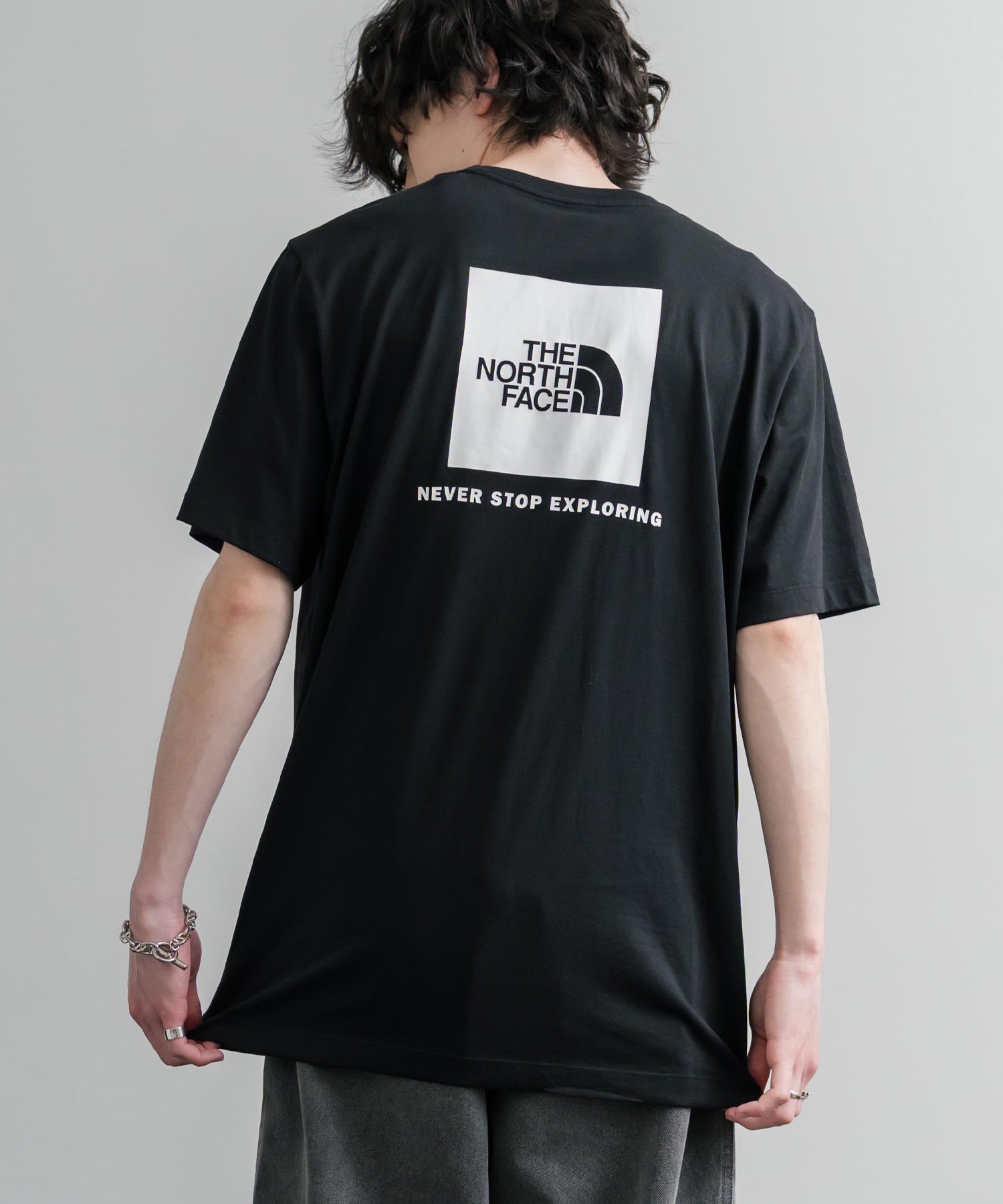 THE NORTH FACE ザ・ノースフェイス EVO BOX NSE REG SS TEE バック