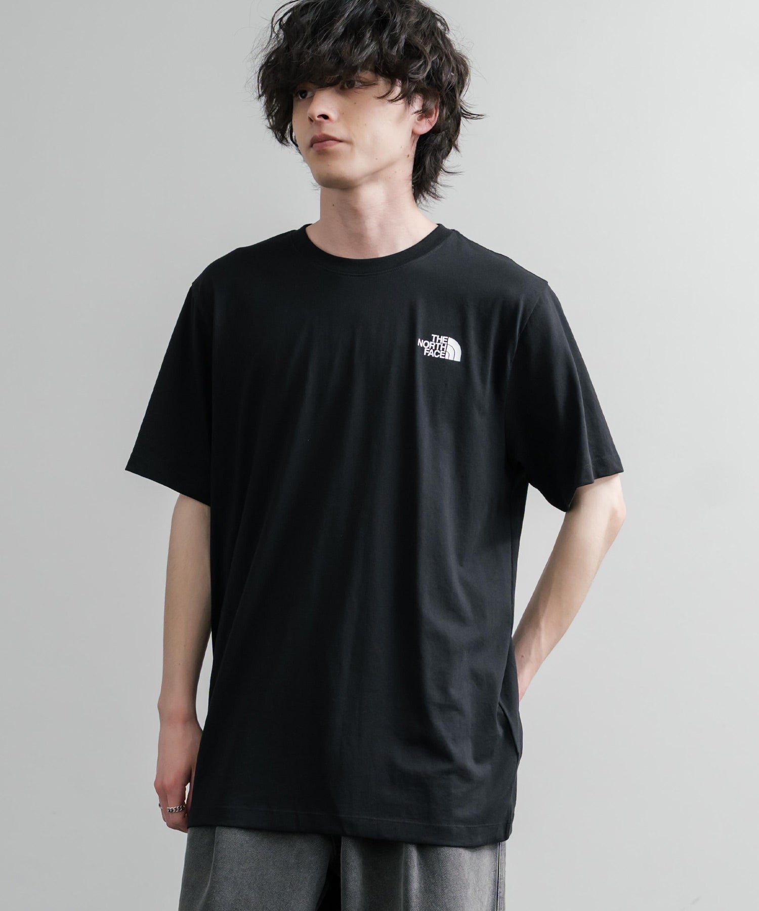 THE NORTH FACE ザ・ノースフェイス EVO BOX NSE REG SS TEE バックプリントクルーネック半袖Tシャツ 16068