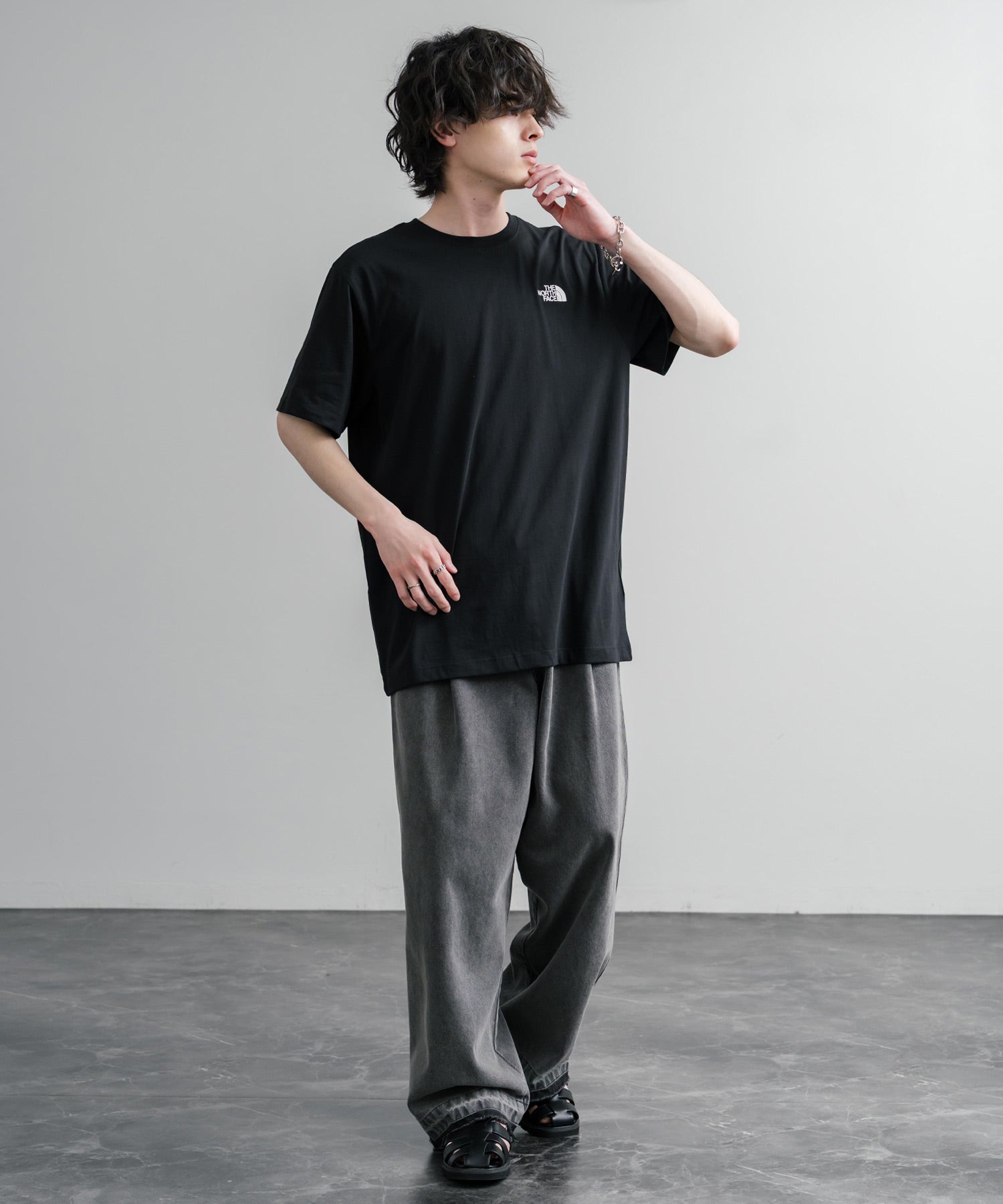 THE NORTH FACE ザ・ノースフェイス EVO BOX NSE REG SS TEE バック