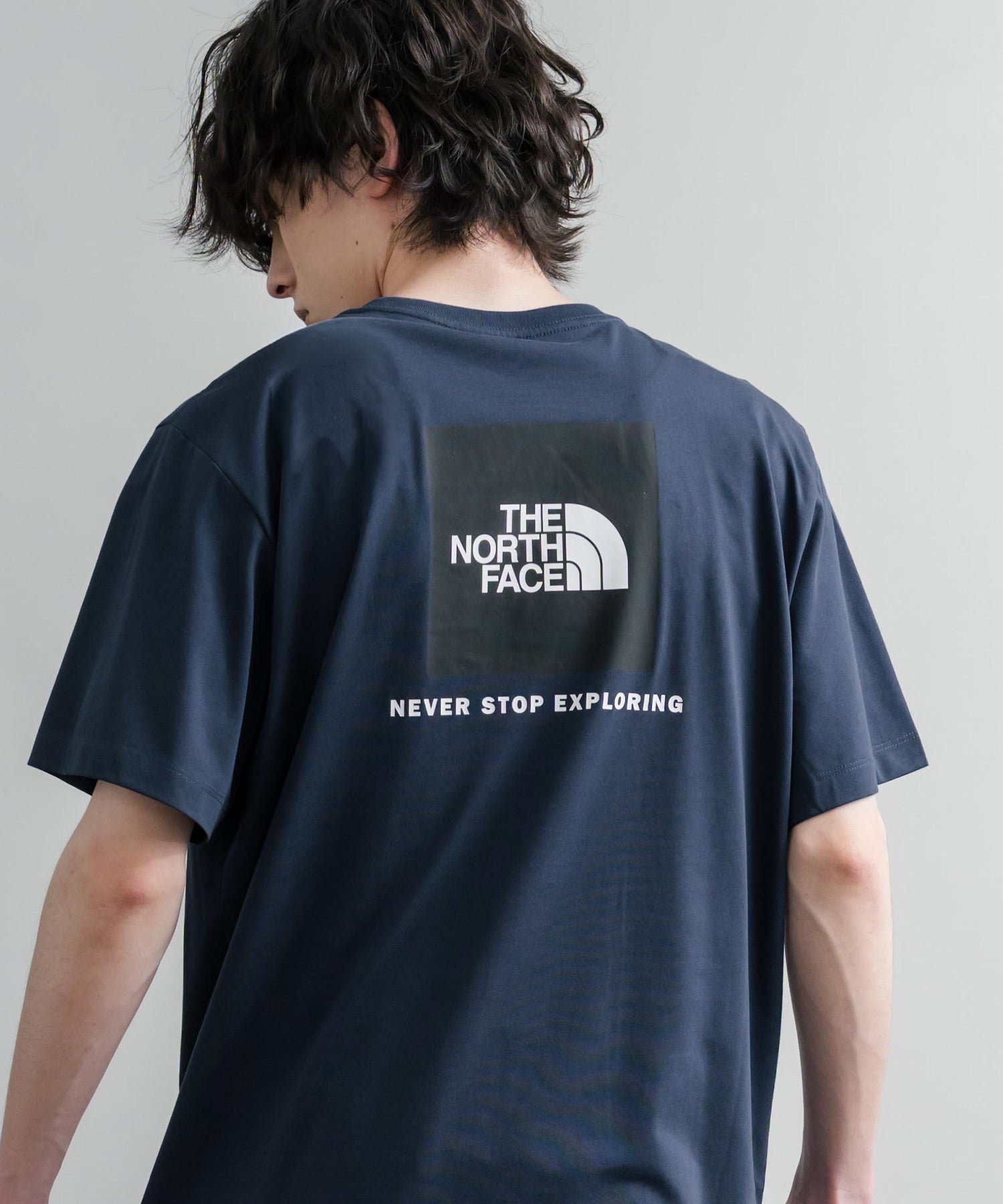 THE NORTH FACE ザ・ノースフェイス EVO BOX NSE REG SS TEE バック