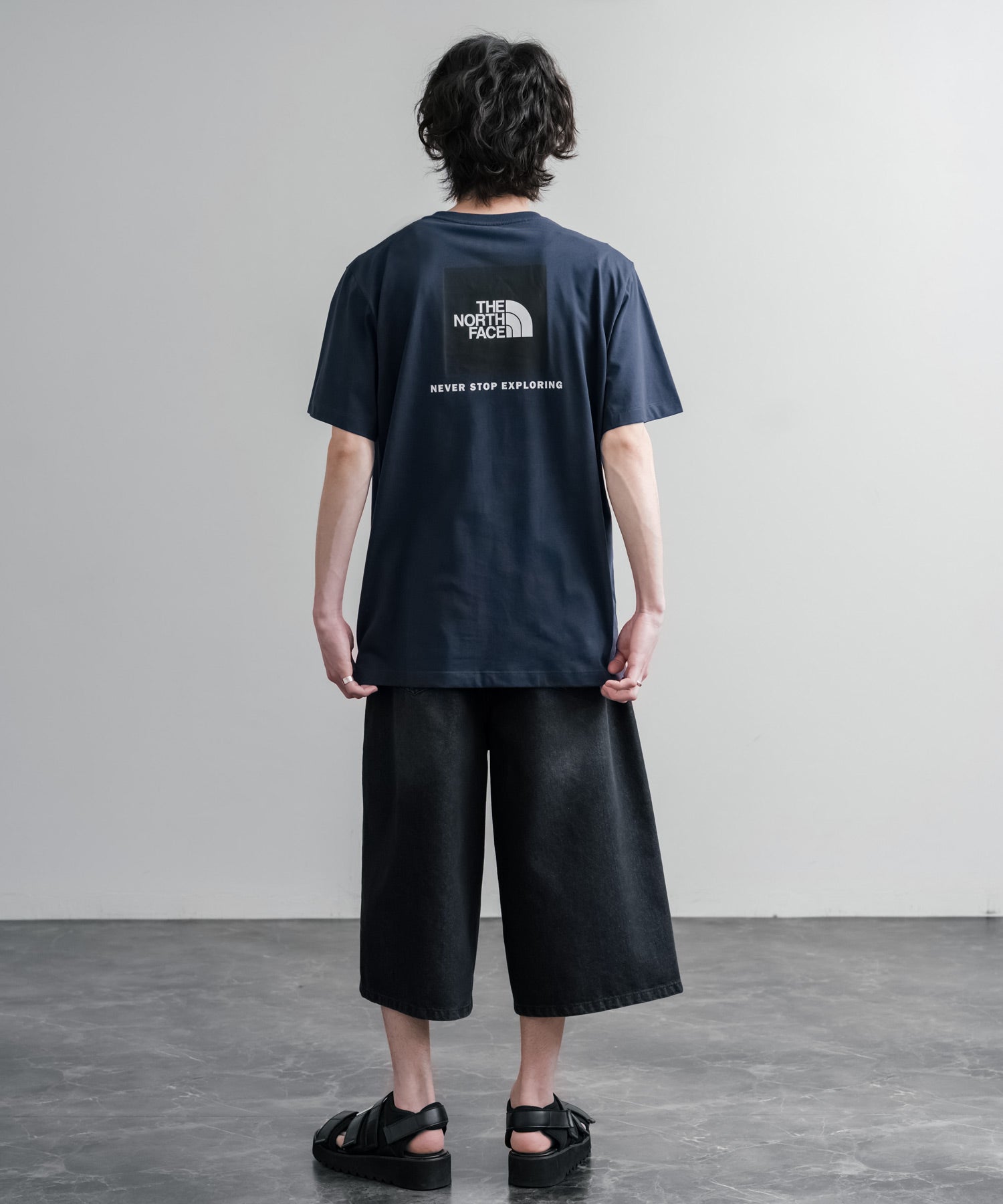 THE NORTH FACE ザ・ノースフェイス EVO BOX NSE REG SS TEE バック