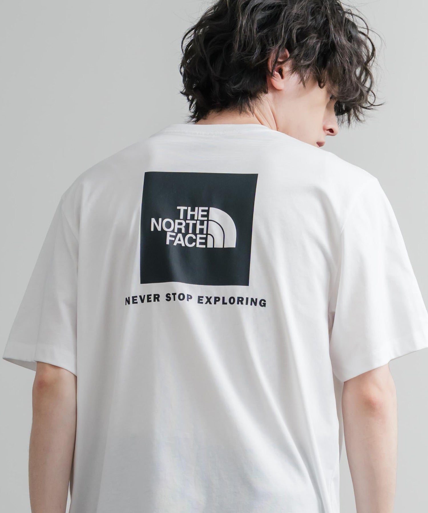THE NORTH FACE ザ・ノースフェイス EVO BOX NSE REG SS TEE バックプリントクルーネック半袖Tシャツ 16068