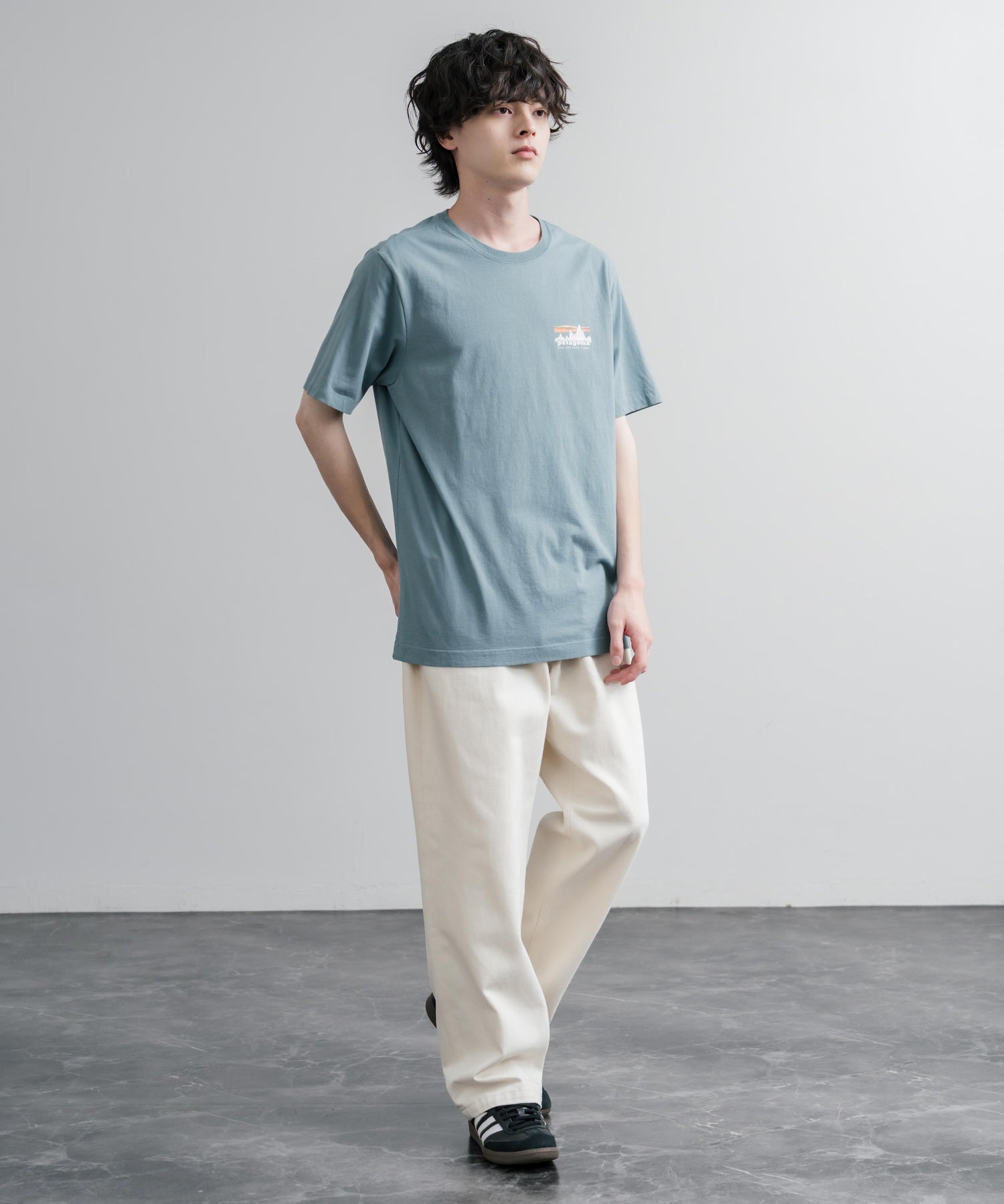 Patagonia パタゴニア M’S '73 SKYLINE T SHIRT オーガニックコットンバックプリント半袖Tシャツ 16143