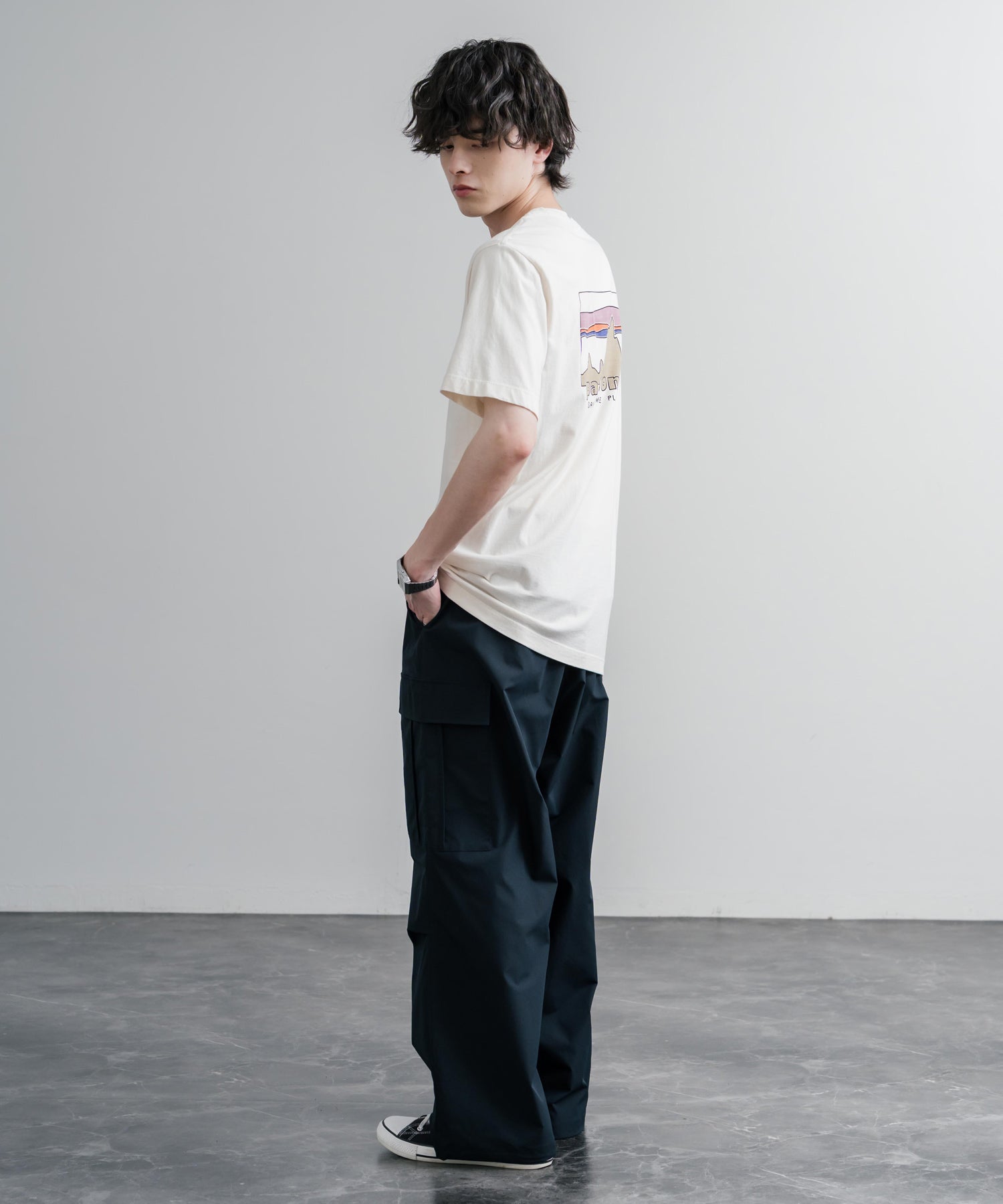 Patagonia パタゴニア M’S '73 SKYLINE T SHIRT オーガニックコットンバックプリント半袖Tシャツ 16143