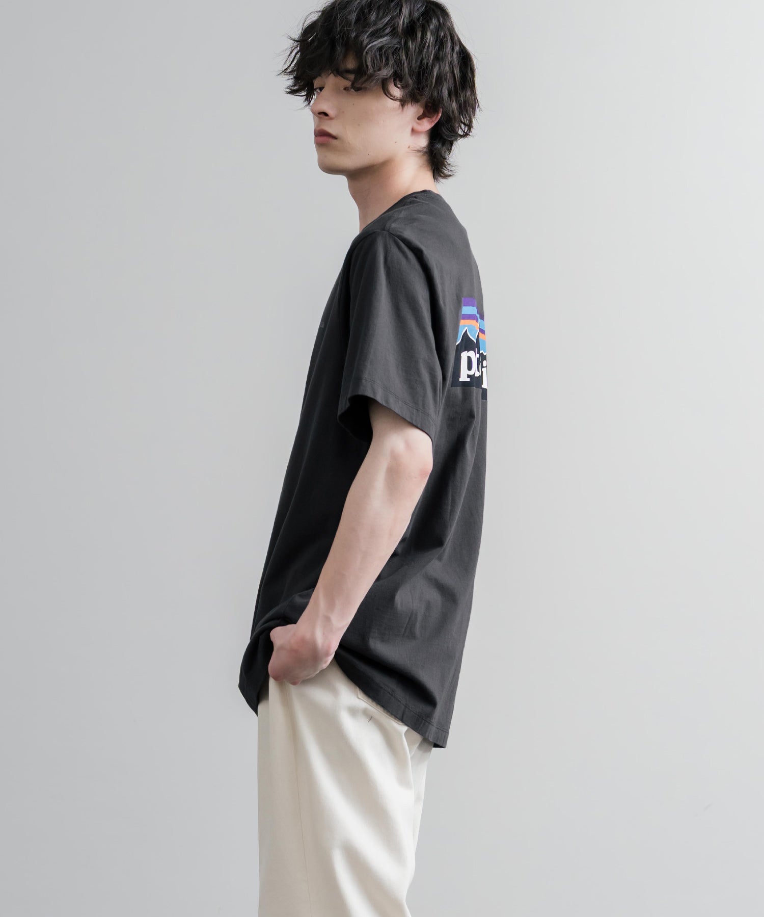 Patagonia パタゴニア MS P 6 LOGO T SHIRT オーガニックコットンバックプリントP-6ロゴ半袖Tシャツ 16144