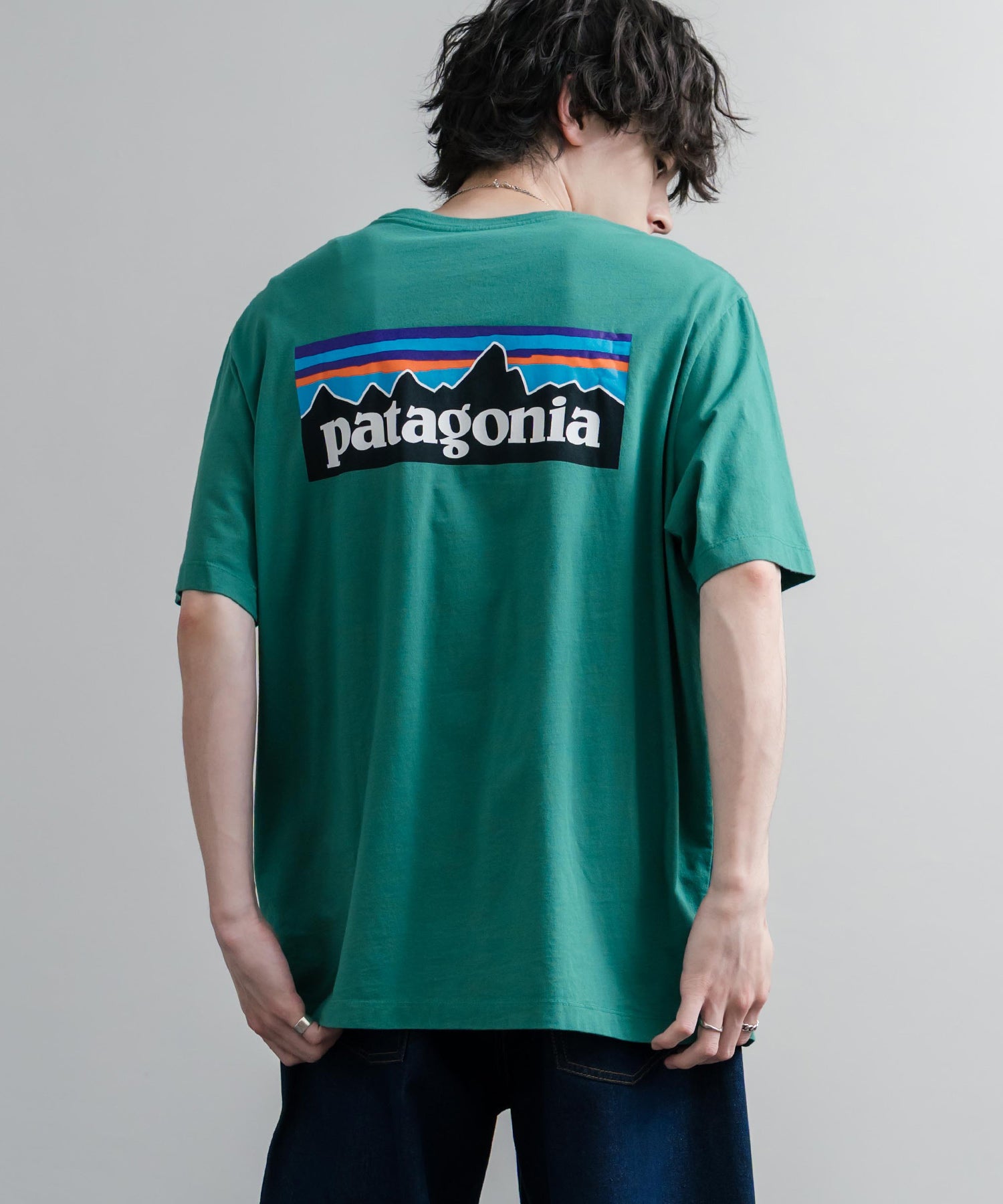 Patagonia パタゴニア MS P 6 LOGO T SHIRT オーガニックコットンバックプリントP-6ロゴ半袖Tシャツ 16144