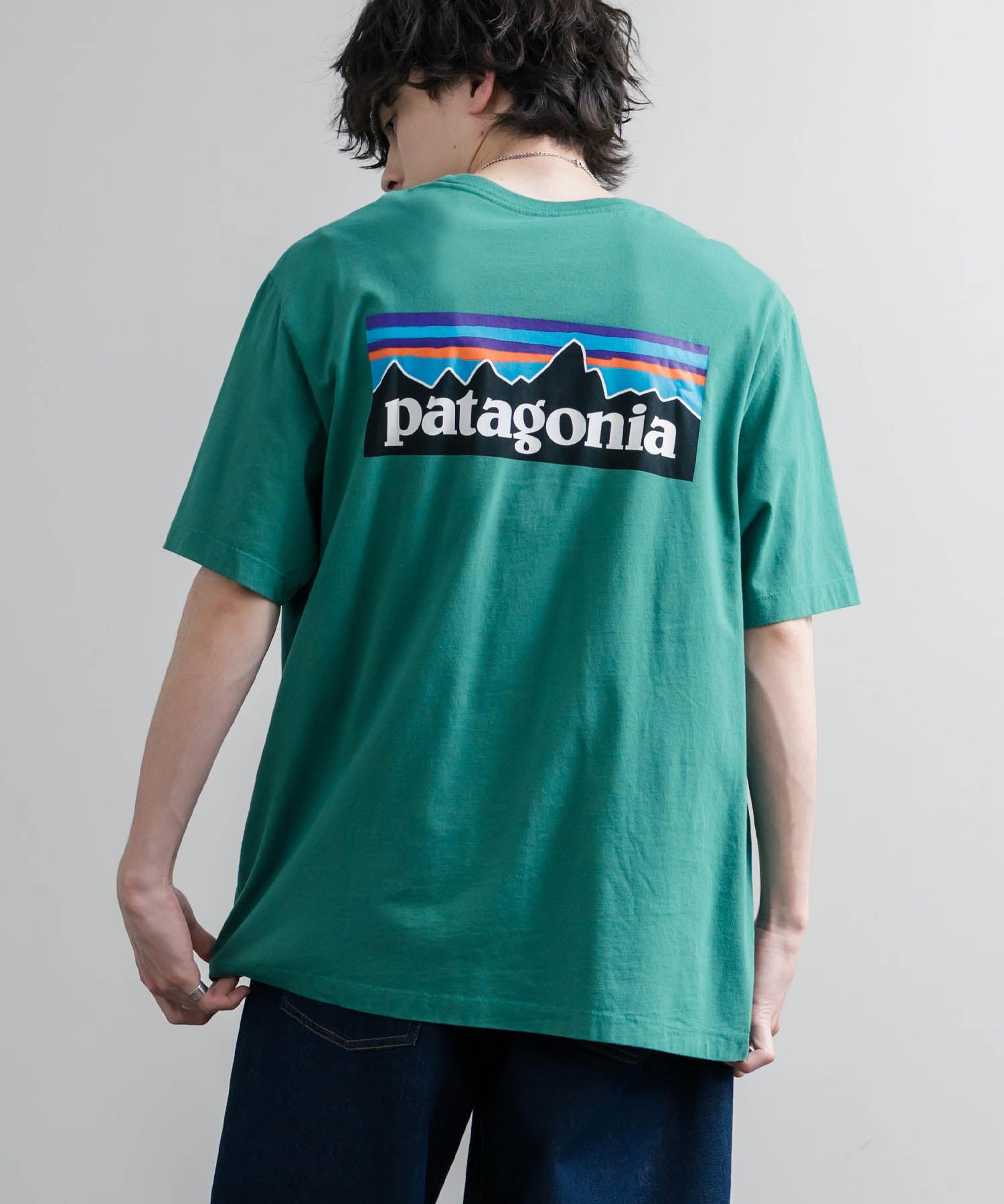Patagonia パタゴニア MS P 6 LOGO T SHIRT オーガニックコットンバックプリントP-6ロゴ半袖Tシャツ 16144