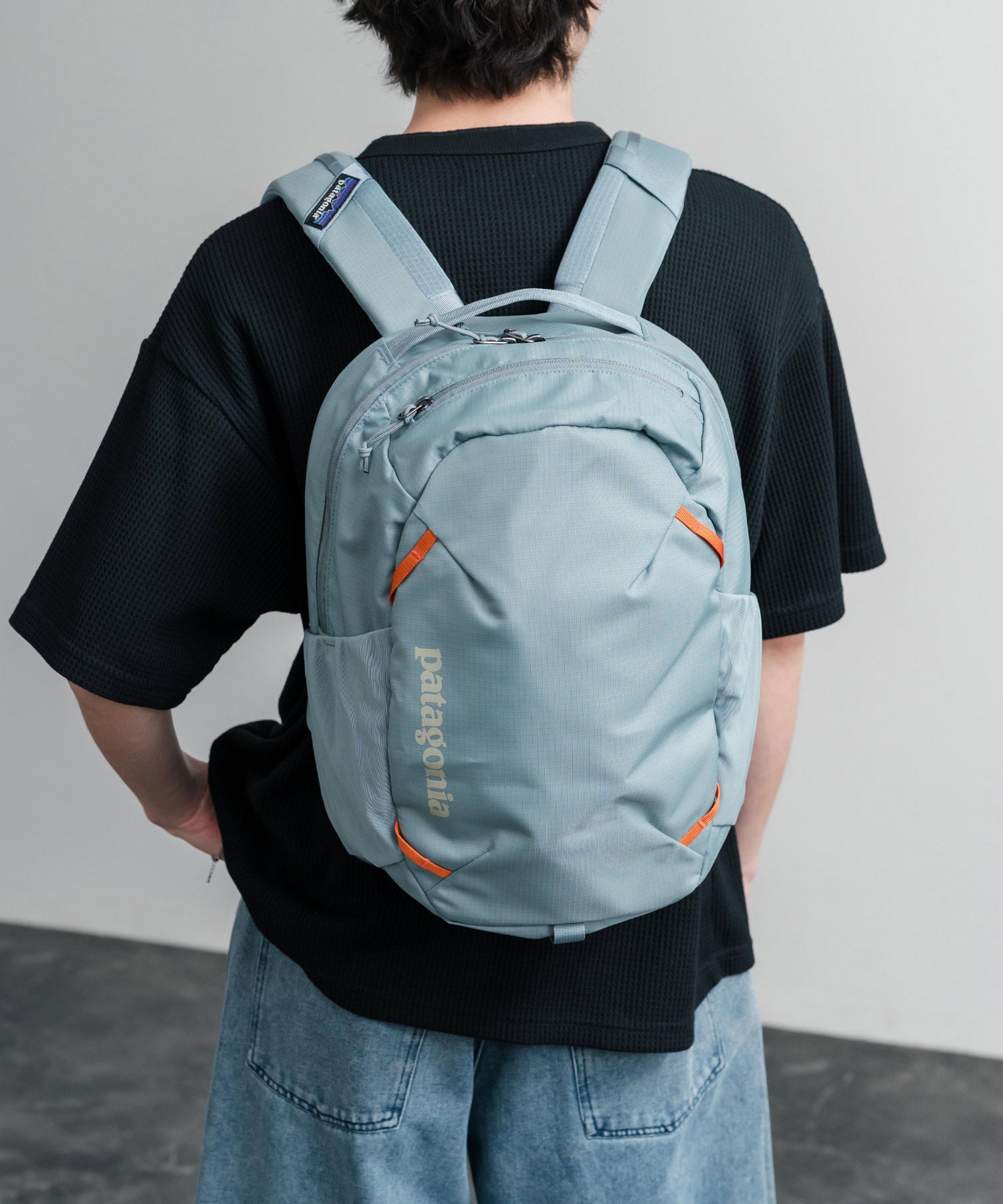 Patagonia ATOM DAY PACK 24L ワンポイントロゴバックパック リュックサック 16216