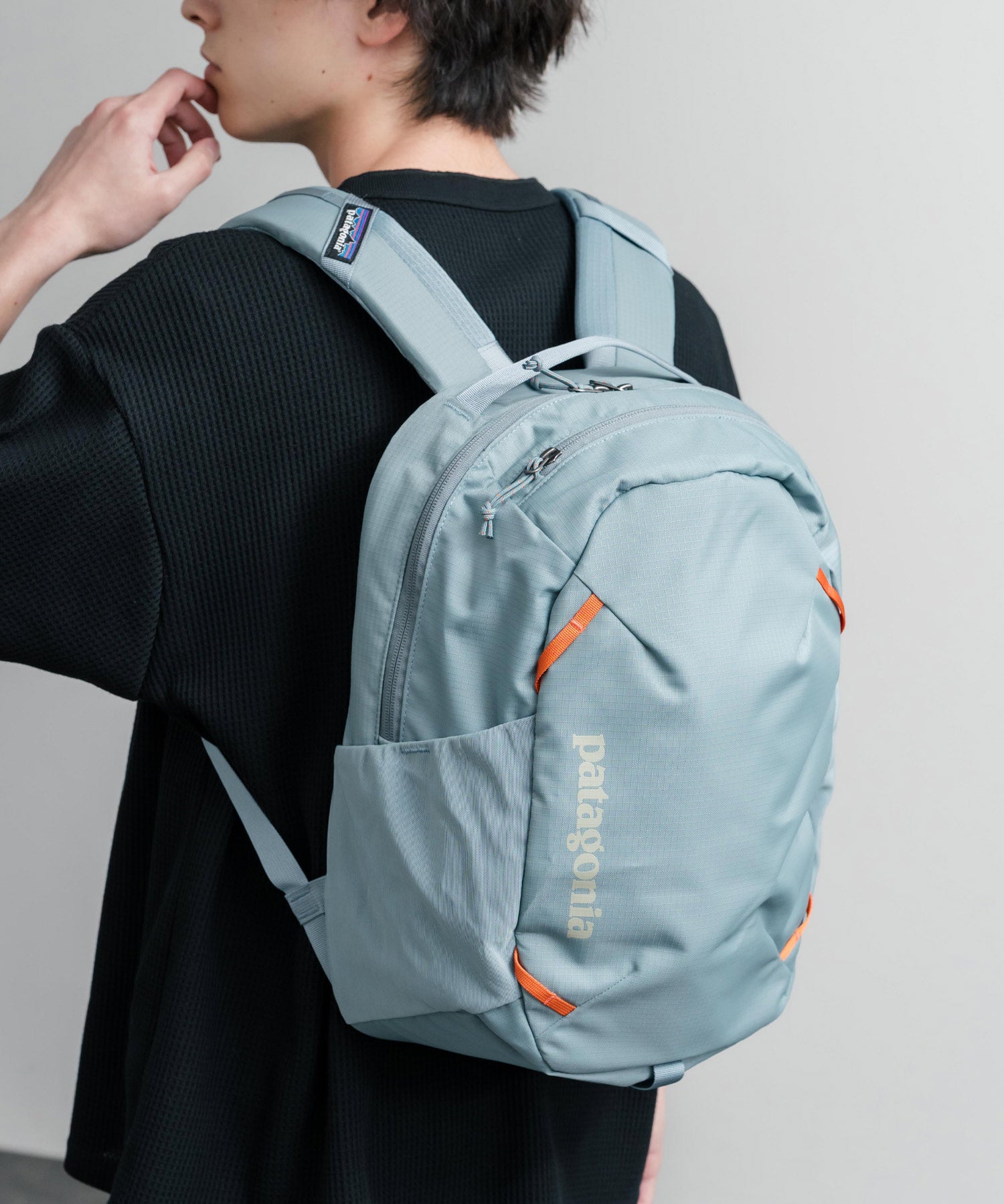 Patagonia ATOM DAY PACK 24L ワンポイントロゴバックパック リュックサック 16216