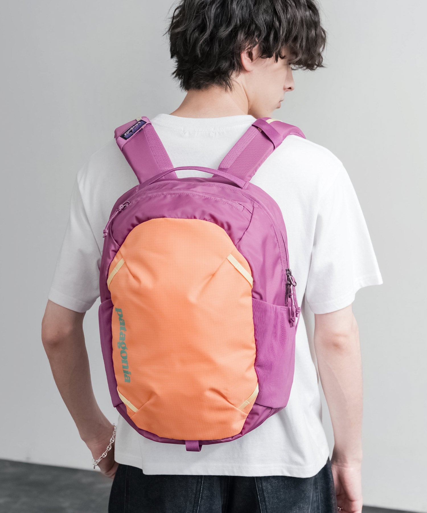 Patagonia ATOM DAY PACK 24L ワンポイントロゴバックパック リュックサック 16216