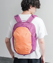 Patagonia ATOM DAY PACK 24L ワンポイントロゴバックパック リュックサック 16216