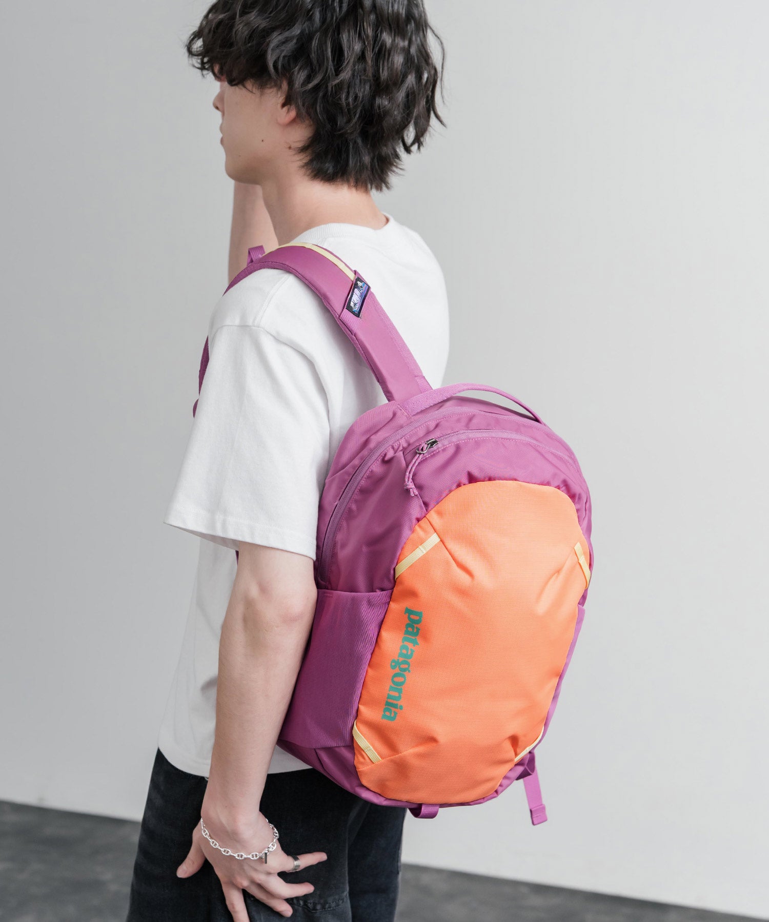 Patagonia ATOM DAY PACK 24L ワンポイントロゴバックパック リュックサック 16216