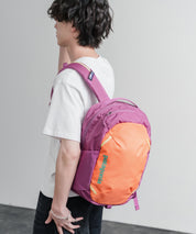 Patagonia ATOM DAY PACK 24L ワンポイントロゴバックパック リュックサック 16216