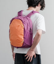 Patagonia ATOM DAY PACK 24L ワンポイントロゴバックパック リュックサック 16216