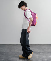 Patagonia ATOM DAY PACK 24L ワンポイントロゴバックパック リュックサック 16216