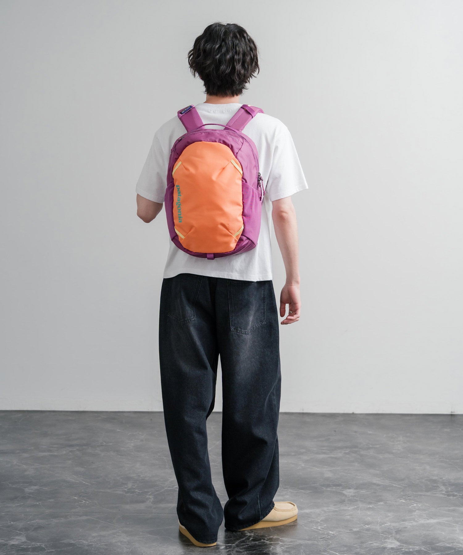 Patagonia ATOM DAY PACK 24L ワンポイントロゴバックパック リュックサック 16216